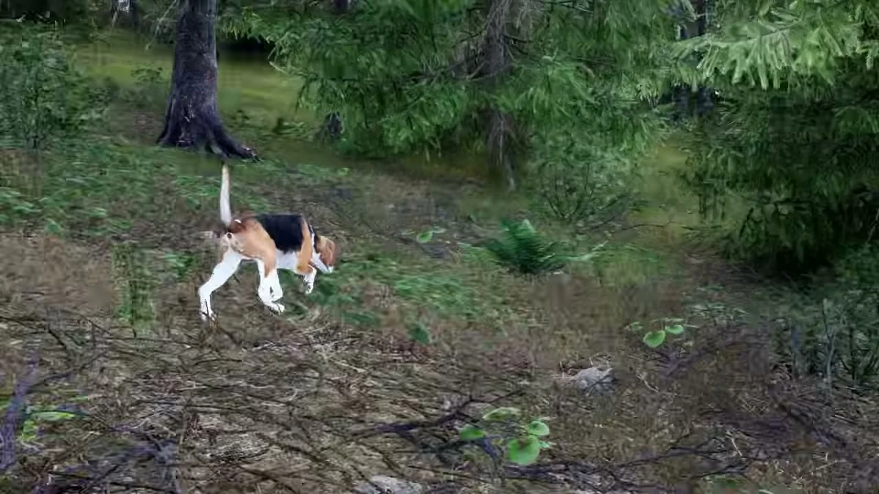 森の地面へ鼻を向けて進む猟犬のゲーム画面(公式開発日誌より)
